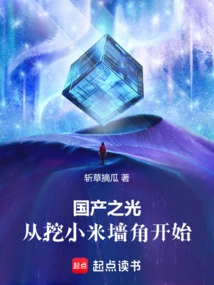 The Light of Domestic Production Starts from Poaching Xiaomi's Corner!