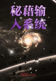 Secret Loan Input System