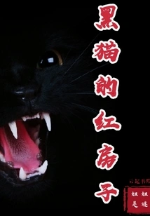 Black Cat's Red House