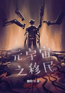 Immigration of the Metaverse