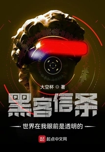 Hacker's Creed: the World is Transparent Before My Eyes