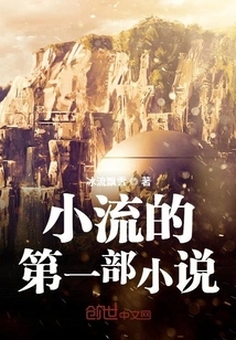 Xiaoliu's First Novel