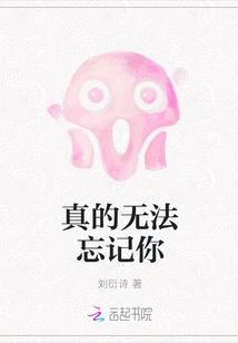 I Really Can't Forget You