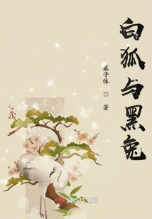 White Fox and Black Rabbit