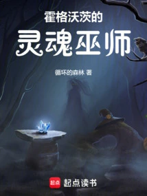 Hogwarts Soul Wizard