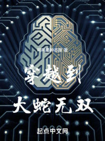 Time Travel to Orochi Wushuang