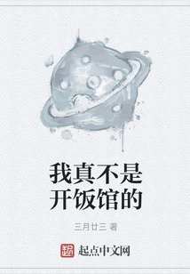 I Really Don't Own a Restaurant