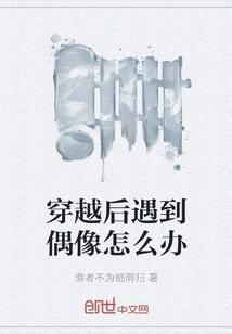 What Should I Do If I Meet an Idol after Traveling Through Time?