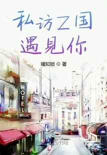 Private Visit to Country Z to Meet You