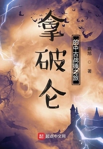 Napoleon's Journey to Medieval Warhammer