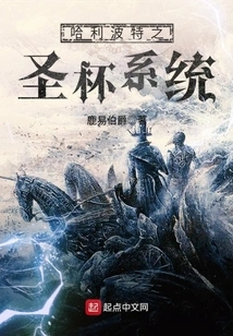 Harry Potter Holy Grail System