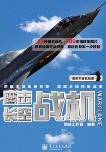 Eagle Strikes the Sky: Fighter Plane