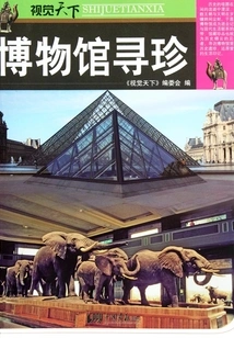 Treasure Hunting in Museums (visual World)