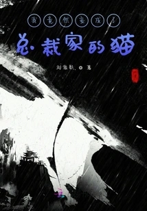 I Turned into the Ceo's Cat