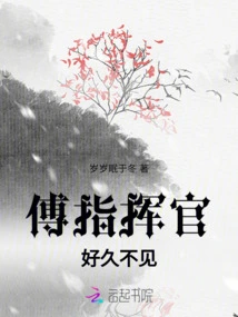 Commander Fu, Long Time No See