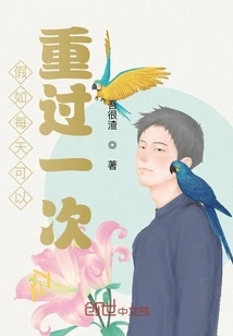 If You Could Do it Again Every Day