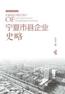 Brief History of Enterprises in Ningxia Cities and Counties