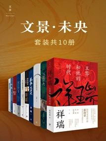 Wenjing Weiyang (set of 10 Volumes in Total)