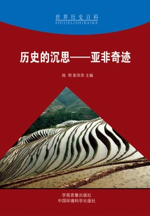 Meditations on History: the Miracles of Asia and Africa (world History Encyclopedia)