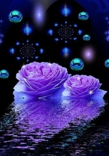 Xia Ling Maple Transformation