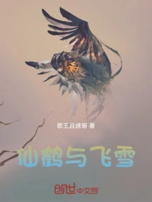 Crane and Flying Snow