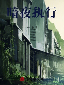 Dark Night Execution