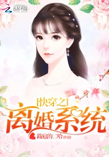 Quick Travel Divorce System