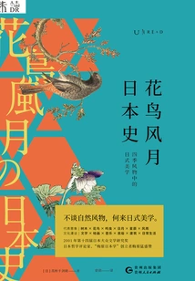 Flowers, Birds, Fengyue, Japanese History