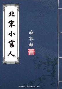 Northern Song Dynasty Official