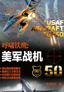 Screaming Iron Eagle: Us Military Fighter 50