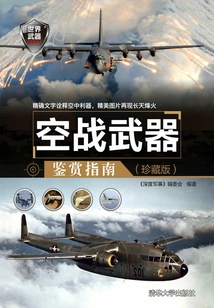 Air Combat Weapons Appreciation Guide (collector's Edition)