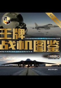 Ace Fighter Illustrated Book (platinum Edition)