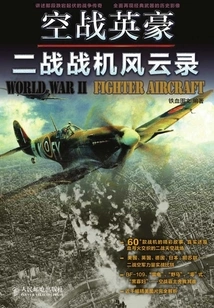 Air Combat Heroes: World War Ii Fighter Chronicles