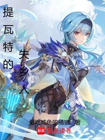 The Homeless Man of Teyvat