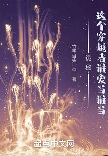 Mystery: from Apprentice to High-dimensional Overlooker