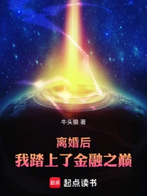 After the Divorce, I Set Foot on the Financial Stratosphere