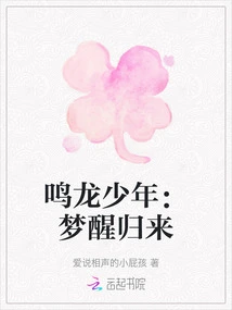 The Young Man with Minglong: Awakening and Returning from a Dream