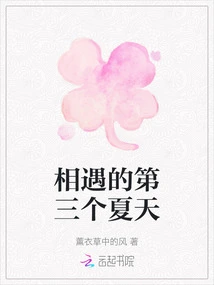 The Third Summer We Met