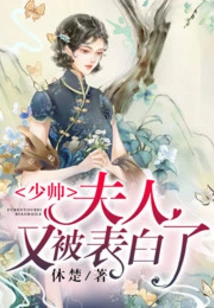 Young Marshal, Madam Has Been Confessed Again