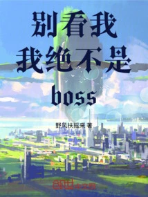 Don't Look at Me, I'm Definitely Not the Boss