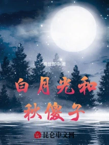 Bai Yueguang and Qiu Fool, Collection of Essays