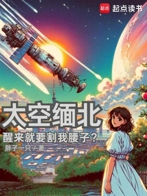 North Myanmar in Space: Are You Going to Cut My Waist When I Wake Up?