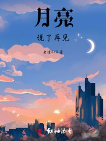 The Moon Said Goodbye