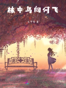 Where Do the Birds Fly in the Forest?