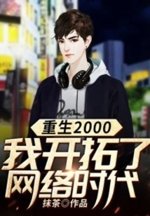 Rebirth in 2000: I Pioneered the Internet Era