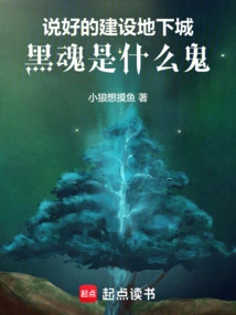 We Agreed to Build a Dungeon, What the Hell is Black Soul?