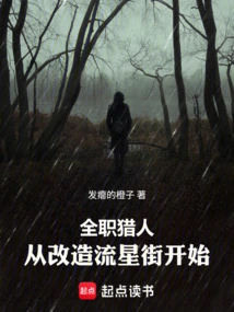 Hunter: Starting from the Transformation of Meteor Street