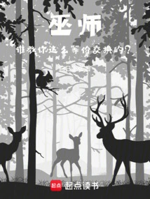 Wizard: Who Taught You Such an Equivalent Exchange?