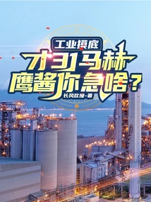 Industrial Survey: It's Only Mach 31, What Are You Anxious About, Yingjiang?