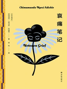 Notes on Grief (works by Adichie)
